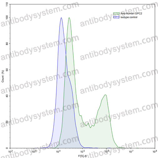 Anti-Human GPC2/Glypican-2 Antibody (D3)